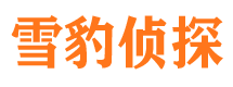 江阴市调查公司